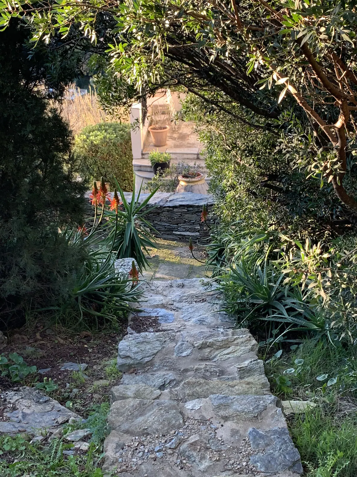le chemin en pierre de descente au village